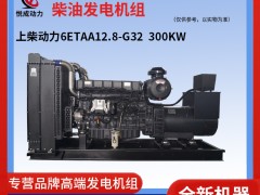 300KW上柴動力柴油發(fā)電機組 6ETAA12.8-G32解說視頻